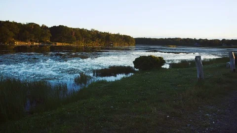 New Hampshire Marsh Stock Footage 123384209