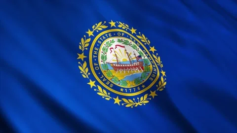 New Hampshire State Flag waving in the wind Stock Footage 236081237