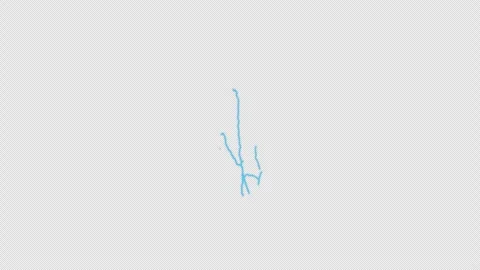 New Hampshire State Line Map Self Drawing Animated Overlay, Alpha 4K Видео 340292798