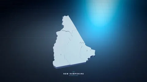 New Hampshire USA state map with glowing tech digital network style Stock Footage 340614101
