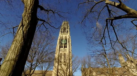 NEW HAVEN, CT - 2016: Yale Campus Stock Footage