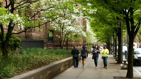 NEW HAVEN, CT - May, 2016: Yale Campus Stock Footage 72848123