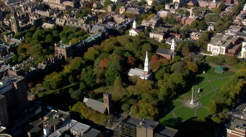 New Haven Green Видео 65423755
