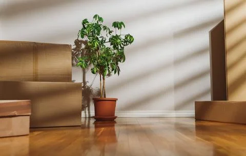 New home concept. Boxes in empty room. Stockfoto's