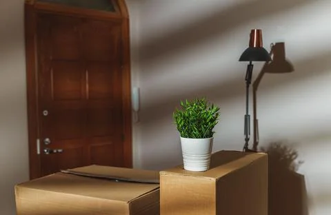 New home concept. Boxes in empty room near the entrance door. 库存照片