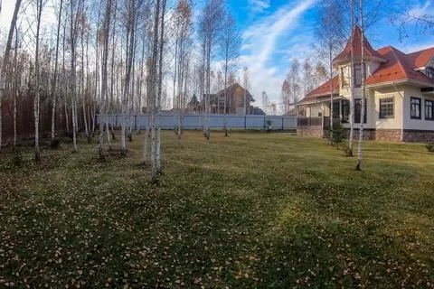 New house with plot planted with birch trees. Beautiful home own Fotos de archivo