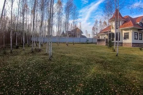 New house with plot planted with birch trees. Beautiful home own Fotos de archivo
