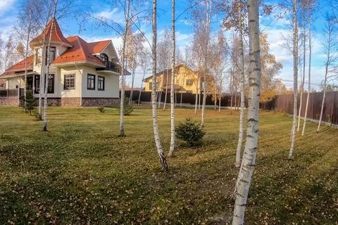 New house with plot planted with birch trees. Beautiful home own Stock Photos