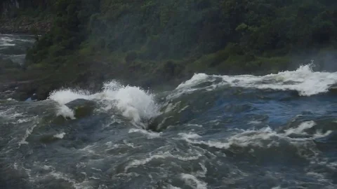New Iguazu fall 5 Stock Footage 81564304