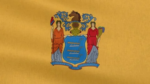New Jersey State Flag, Cotton Fabric Stock Footage 299078341