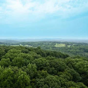 New Jersey Woods Stock Photos
