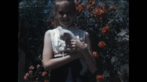 New Kitten 1971 Stock Footage 211882660