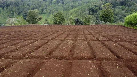 New Land 스톡 동영상 227287454