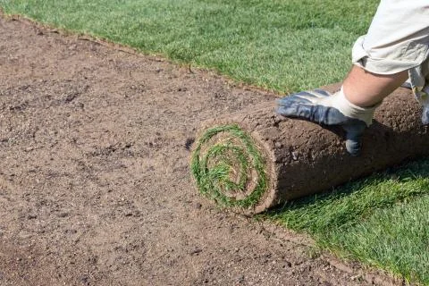 New lawn Stock Photos