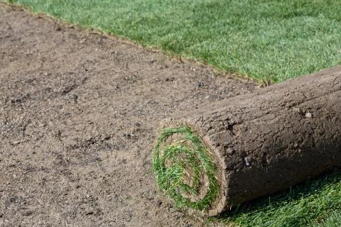 New lawn Stock Photos