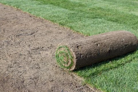 New lawn Stock Photos