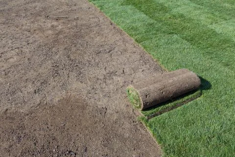 New lawn Stock Photos