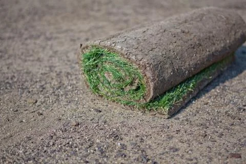 New lawn Stock Photos
