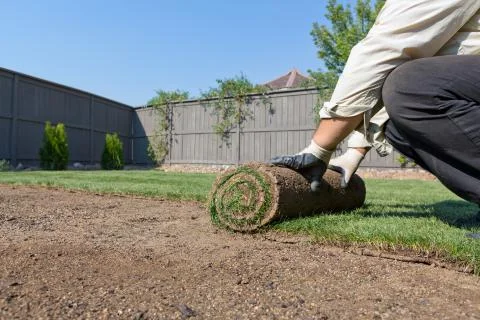 New lawn Stock Photos