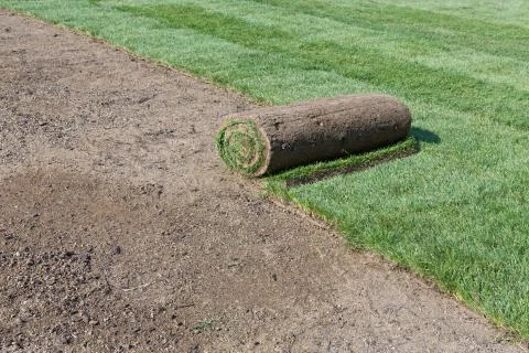 New lawn Stock Photos
