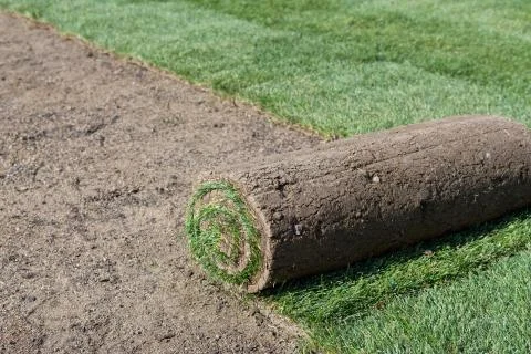New lawn Stock Photos
