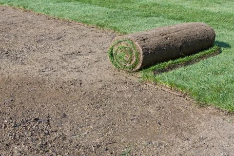 New lawn Stock Photos