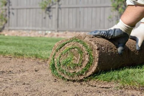 New lawn Stock Photos