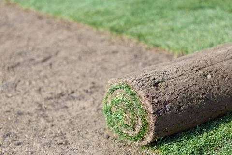 New lawn Stock Photos