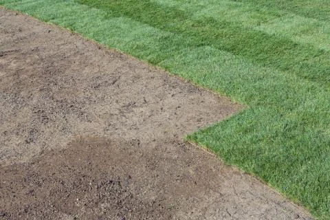 New lawn Stock Photos