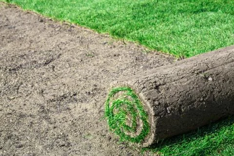 New lawn Stock Photos