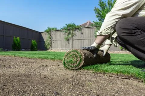 New lawn Stock Photos
