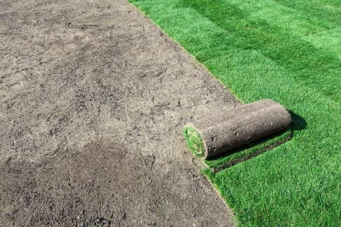 New lawn Stock Photos