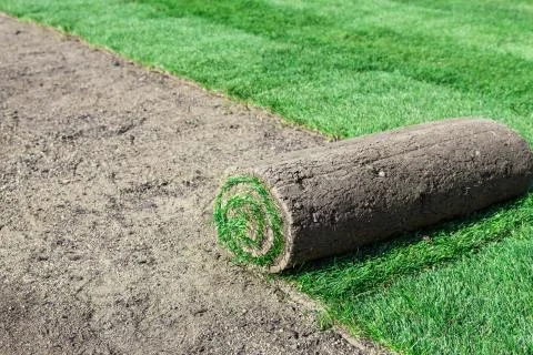 New lawn Stock Photos