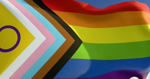 New LGBT progress flag Stock-Footage 300205921