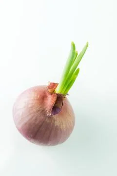 New life concept Stock Photos