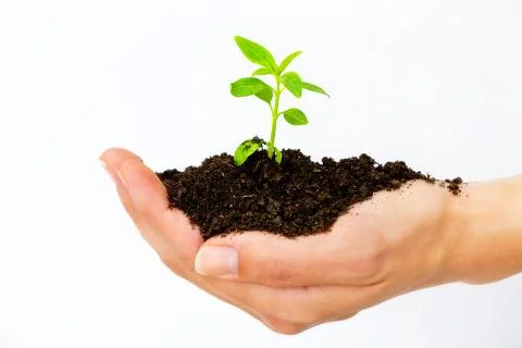 New life concept. Stock Photos