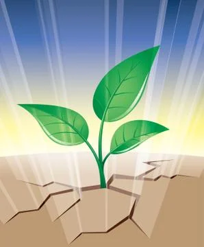 New life Stock-Illustration