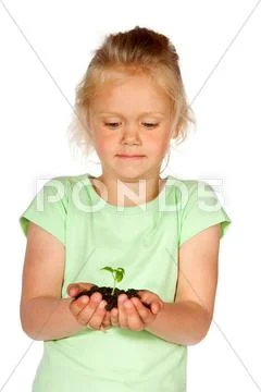 New life in nature Stock Photos