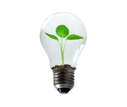 New life Stock Photos