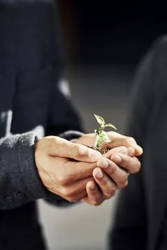 New life is safe here Stock Photos