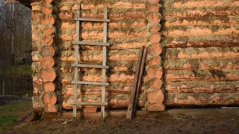 New log wall, moss not yet caulked Stock Footage 118903685
