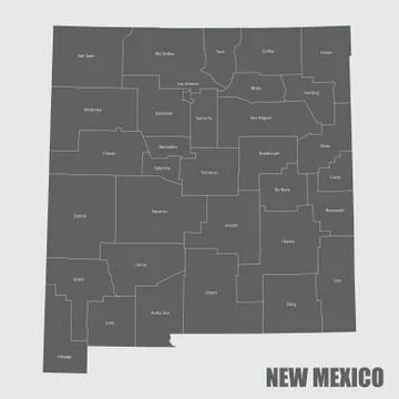 New Mexico counties map Stock Illustration