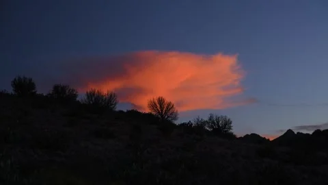 New Mexico, A desert landscape featuring the silhouettes of prickly pear ca.. Stock Footage 340104371