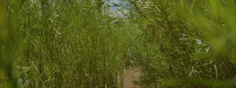 New Mexico Landscape- 11 Stock Footage 277375406