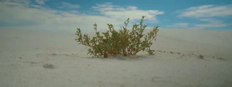 New Mexico Landscape- 23 Stock Footage 277437332