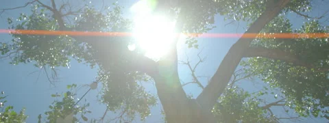 New Mexico Landscape- 9 Stock Footage 277363076