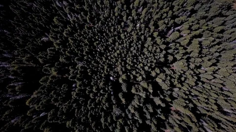 New Mexico Mountain Forrest Stock Footage 100696032