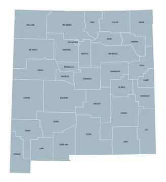 New Mexico, U.S. state subdivided into 33 counties, gray political map Stock Illustration