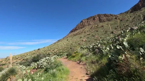 New Mexico's Thunder Egg Trail overlook. Stock Footage 160943778