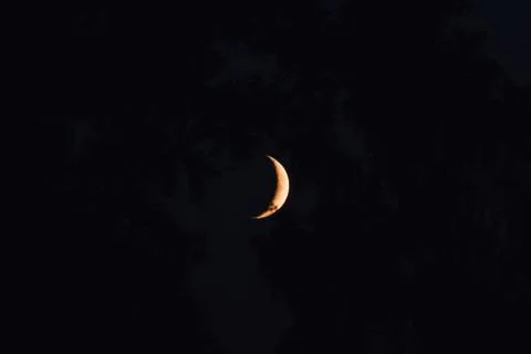 The new moon sets behind trees in the evening Stock Photos